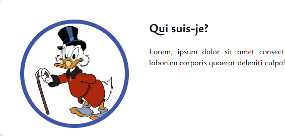 Maquette CV développeur analyste en HTML/CSS